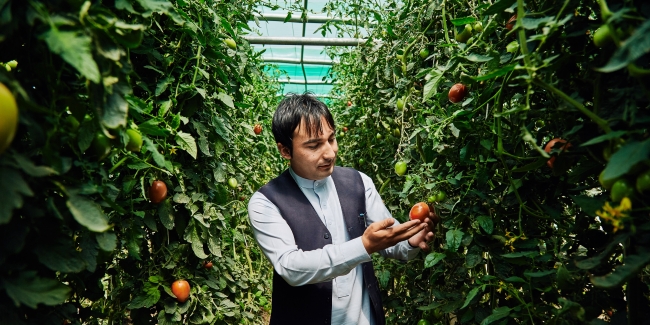 UNDP-Afghanistan-2016_climate_change_adaptation - PC UNDP Afghanistan S. Omer Sadaat 